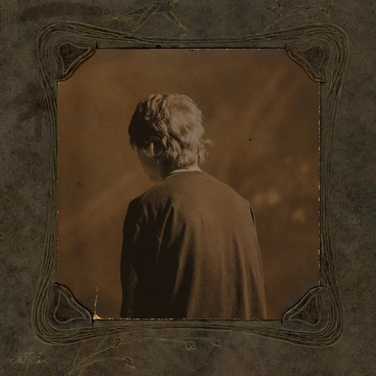 Ethel Cain - Willoughby Tucker, I'll Always Love You